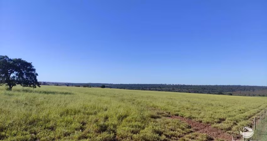 FAZENDA INCRÍVEL PRÓXIMO A CHAPADÃO DO SUL/MS