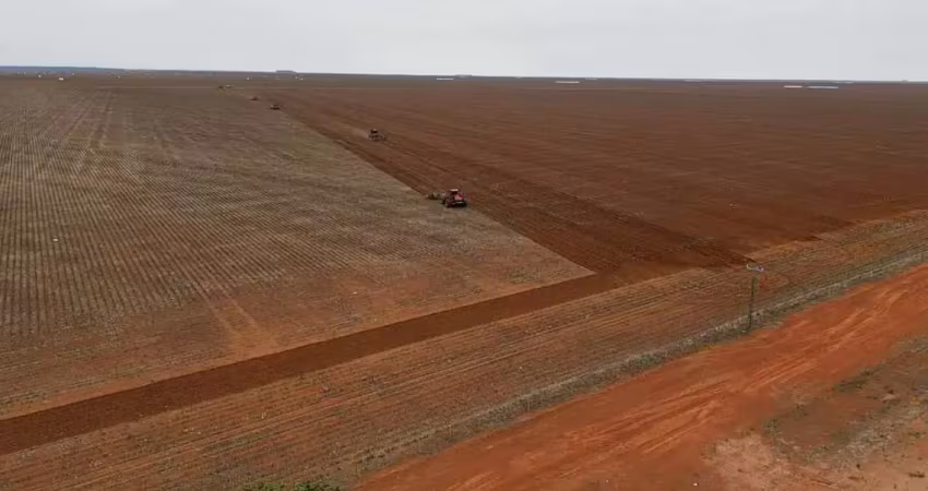Fazenda à venda no Centro, Campo Novo do Parecis 
