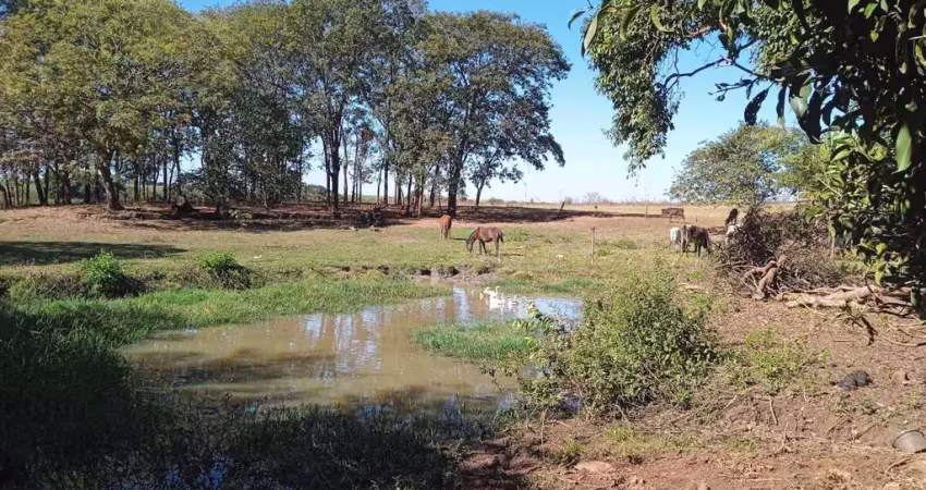 Fazenda à venda no Centro, Miguelópolis 