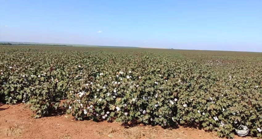 FAZENDA EXCELENTE EM JACIARA/MT