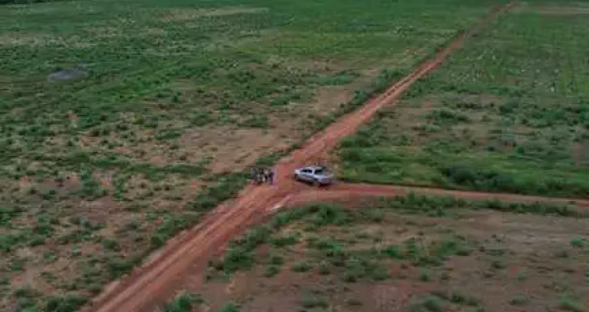 Fazenda à venda no Centro, Planalto da Serra 