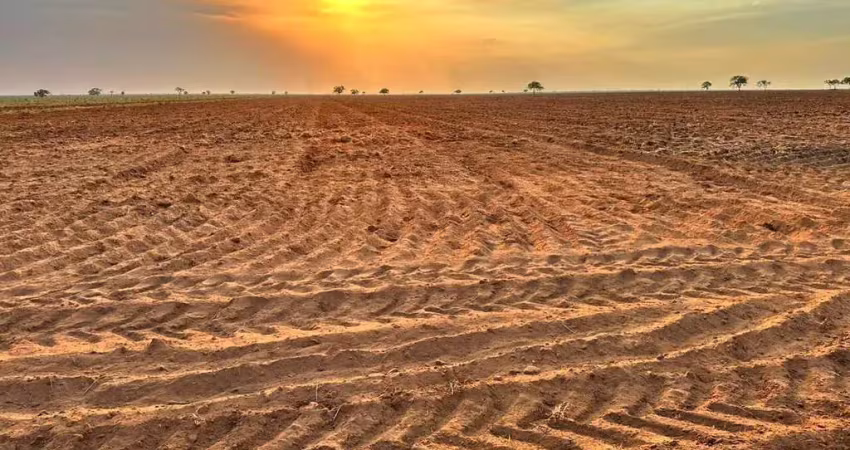 Fazenda à venda no Sitio Grande, São Desidério 