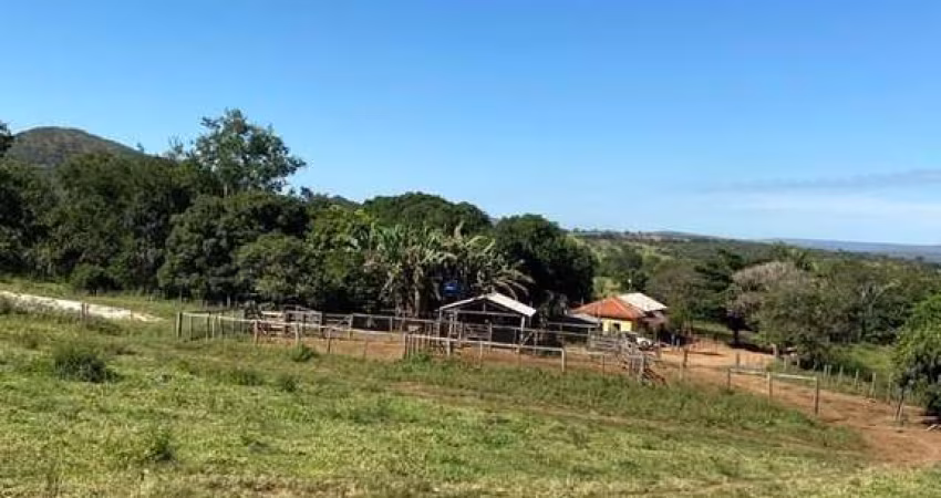 FAZENDA INCRÍVEL IDEAL PARA CRIAÇÃO DE GADO EM PARACATU/MG