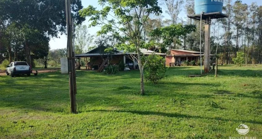 FAZENDA INCRÍVEL EM NAVIRAÍ/MS