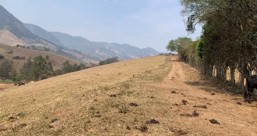 CHÁCARAS À VENDA EM LUMINOSA/BRAZÓPOLIS/MG