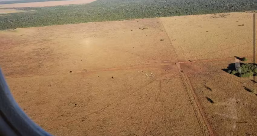 Fazenda à venda no Centro, Canarana 