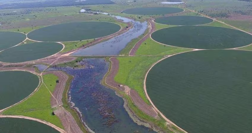 FAZENDA INCRÍVEL EM JUSSARA/GO