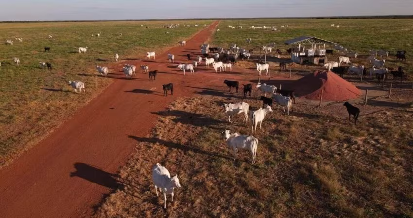 FAZENDA IMPERDÍVEL LOCALIZADA EM CONFRESA/MT