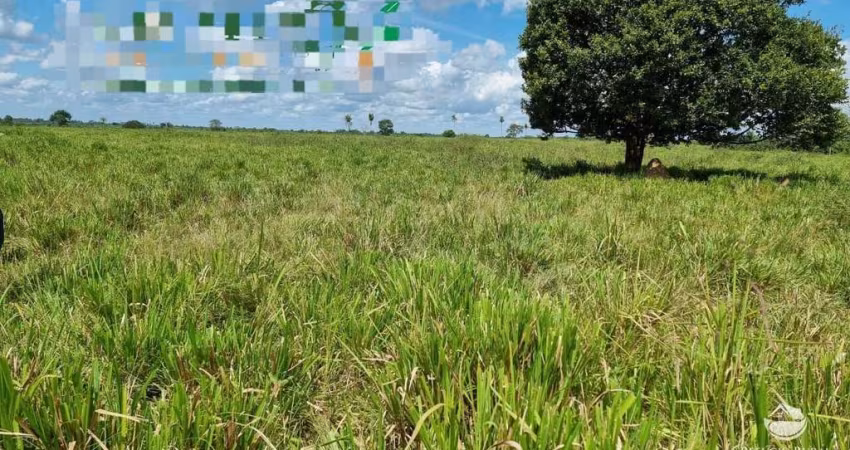 FAZENDA INCRÍVEL COM ÓTIMA ESTRUTURA NO SUL DO PARÁ