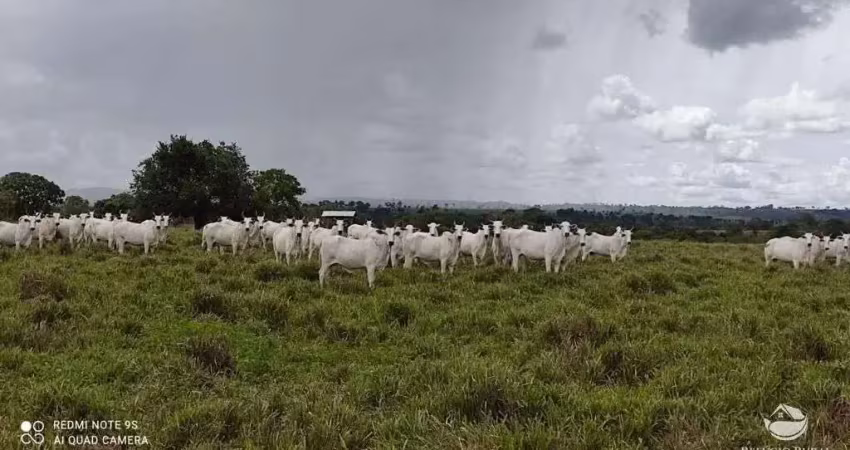 Fazenda imperdível à venda (porteira fechada) - bandeirantes/to