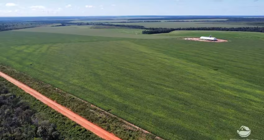 Fazenda à venda no Centro, Marcelândia 
