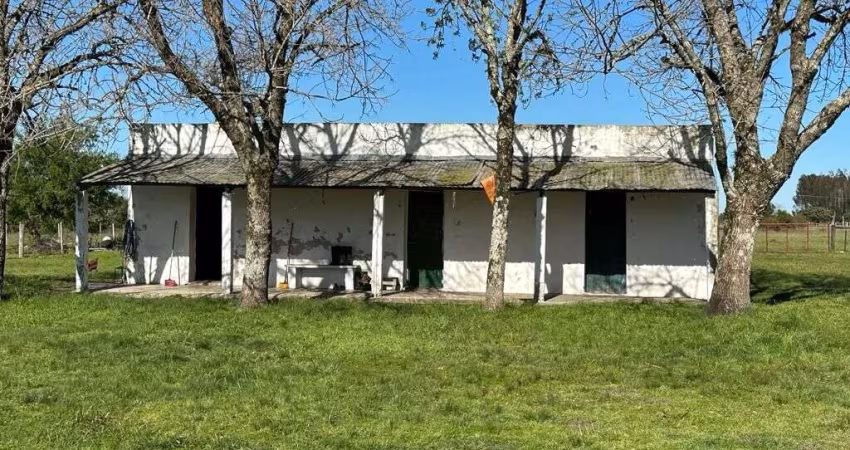 FAZENDA INCRÍVEL NO URUGUAI