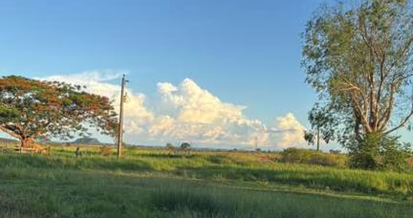 FAZENDA EXCELENTE EM FIGUEIRÃO/MS - ÓTIMA OPORTUNIDADE DE INVESTIMENTO!