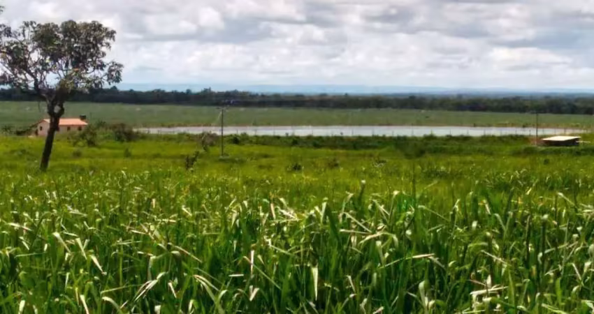 Fazenda à venda no Centro, Paracatu 