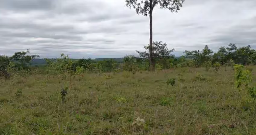 Fazenda incrível em camapuã/ms - excelente oportunidade de investimento!