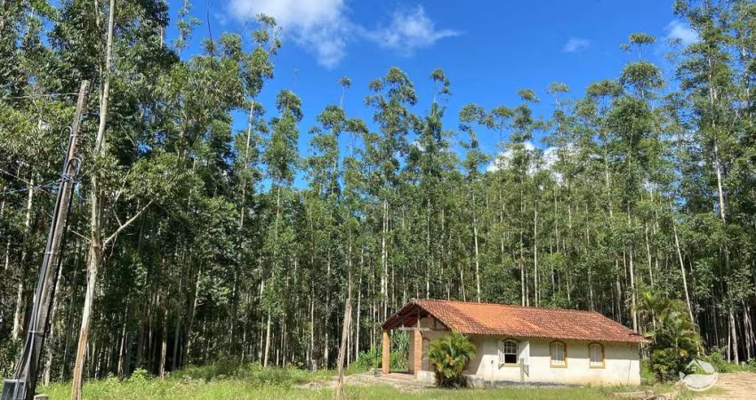 FAZENDA DE EUCALIPTOS IMPERDÍVEL EM PARAÍBUNA/SP