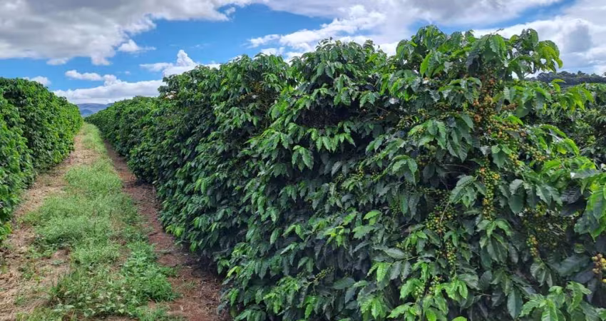 FAZENDA DE CAFÉ COM EXCELENTE INFRAESTRUTURA EM VARGEM BONITA/MG