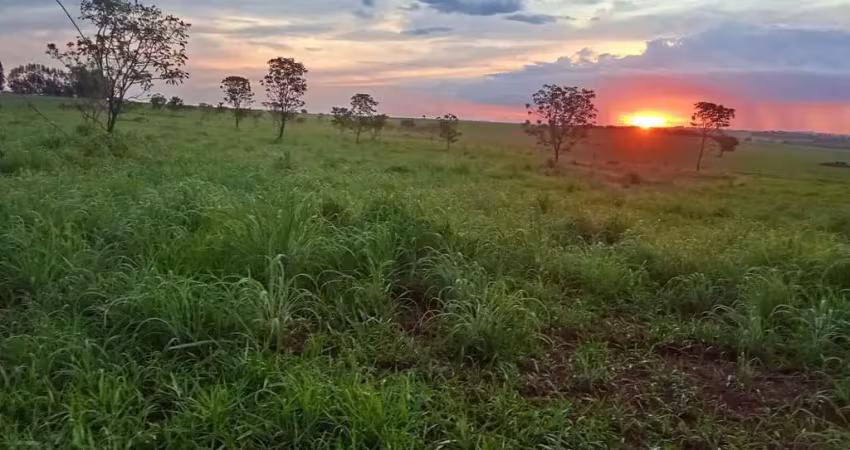 CHÁCARA EXCELENTE EM GOIÂNIA