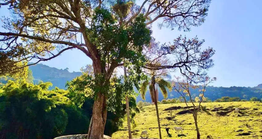 Terreno à venda no Centro, São Bento do Sapucaí 