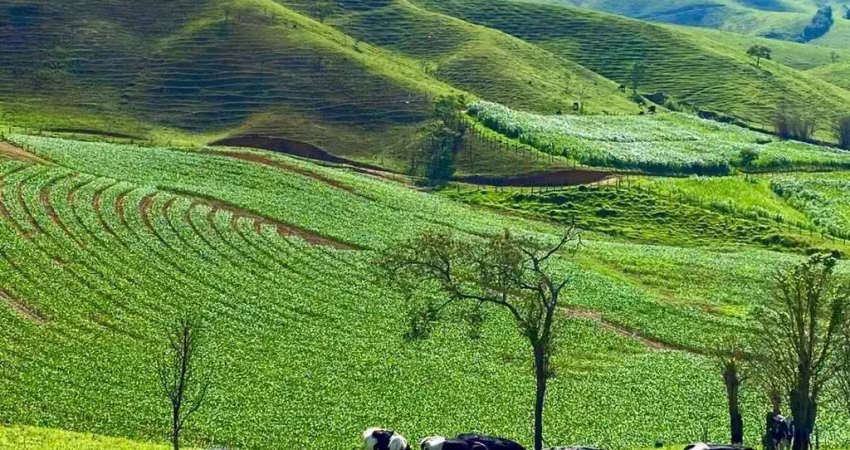 Fazenda imperdível com excelente estrutura em são josé do barreiro/sp