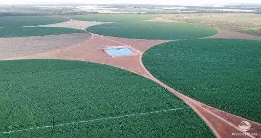 Fazenda imperdível com excelente infraestrutura em paracatu/mg