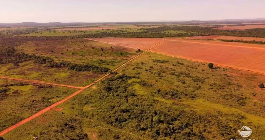 Fazenda à venda no Centro, Vila Rica 