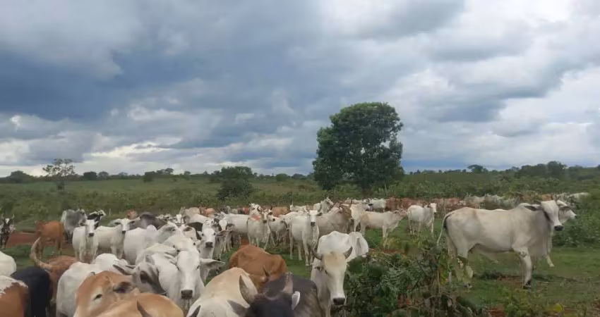 Fazenda à venda no Centro, Figueirão 