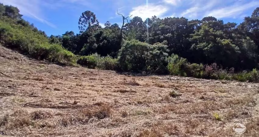 Chácara / sítio com 1 quarto à venda no Centro, Gonçalves 