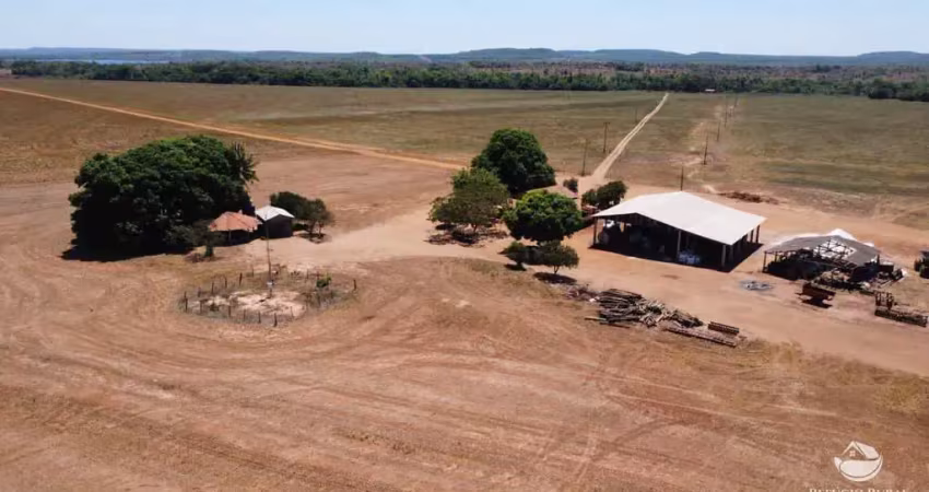 Fazenda à venda no Centro, Estreito 