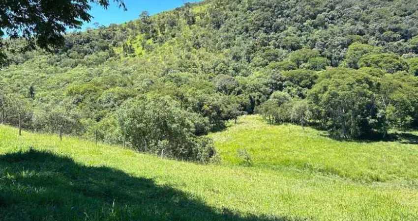 Fazenda à venda no Centro, Cunha 