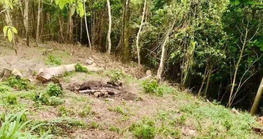 Terreno à venda no Centro, Igaratá 