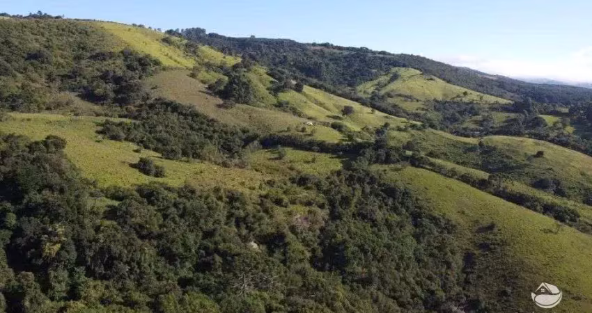 Fazenda à venda no Centro, Cunha 