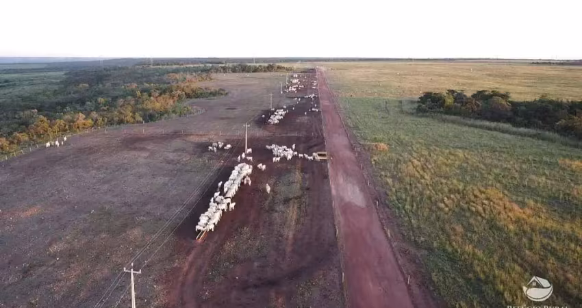 Fazenda à venda no Centro, Balsas 