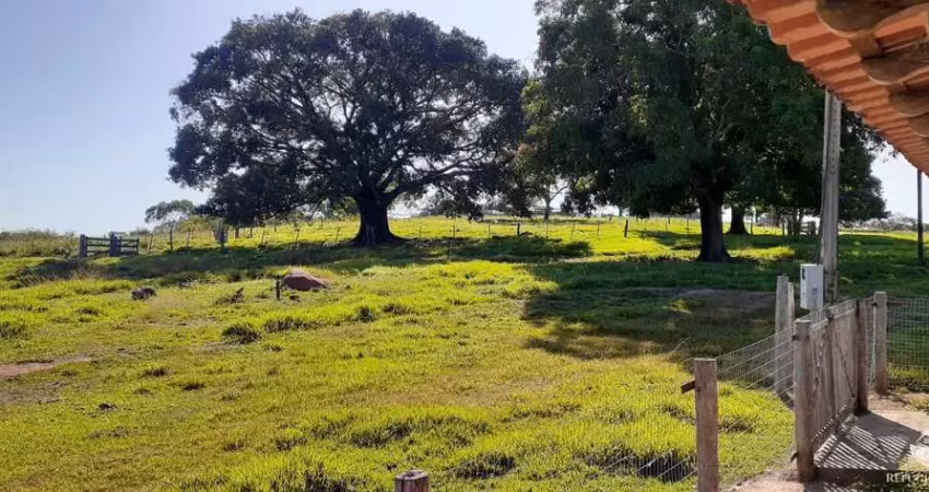 Fazenda à venda no Centro, Tesouro 