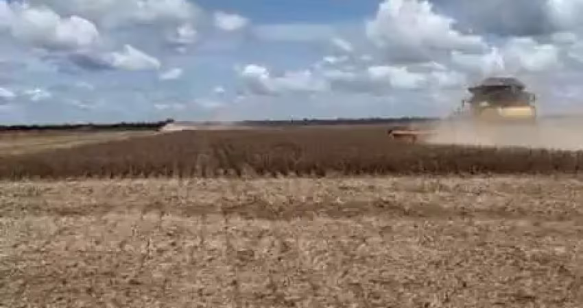 Fazenda à venda no Centro, Cristalina 