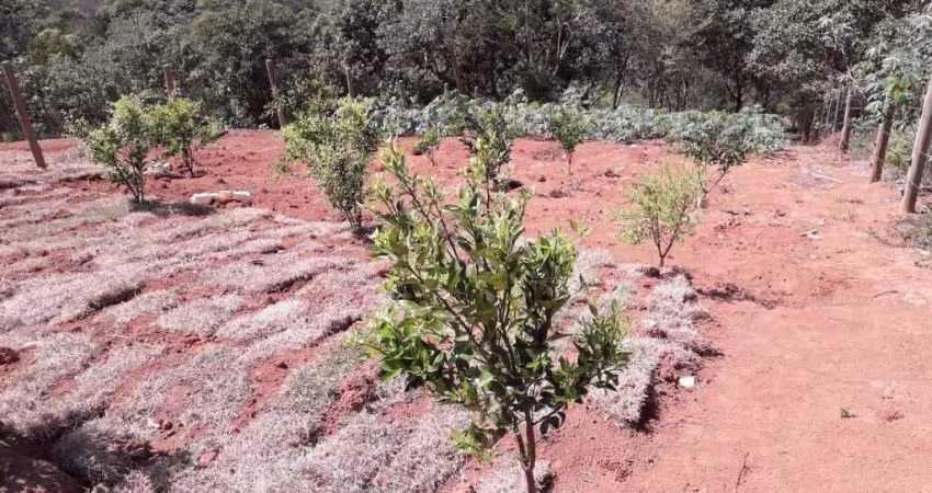 Terreno à venda no Centro, Monteiro Lobato 
