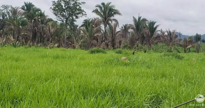 Fazenda à venda no Setor Central, Recursolândia 