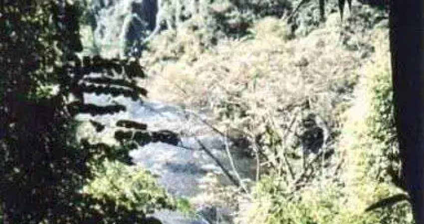 Fazenda à venda no Centro, Iporanga 