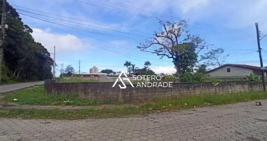 Terreno à venda na Avenida Maestro Heitor de Carvalho, 725, Massaguaçu, Caraguatatuba