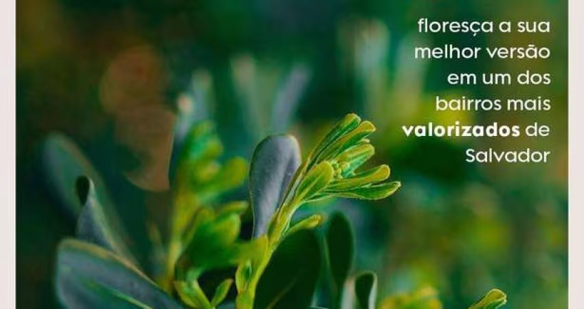 Apartamento à venda no BLOOM HORTO FLORESTAL, HORTO FLORESTAL, Salvador, BA