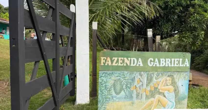 Rural à venda em rua pública, banco da vitória , ilhéus, ba