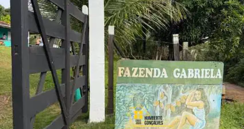 Chácara / sítio com 3 quartos à venda na Rua Velosa do Meio, 1, Japu, Ilhéus
