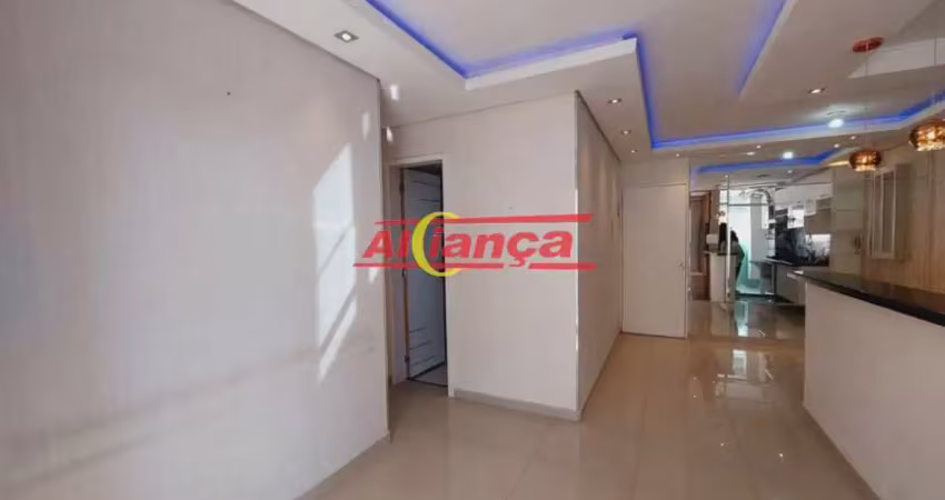 Apartamento para alugar, 2 quartos e 1 vaga coberta 54m², gopoúva - guarulhos  3.400,00
