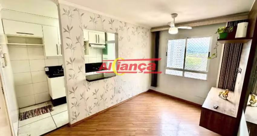 Apartamento com 2 quartos para alugar, 45m² - ponte grande - guarulhos/sp - por r$2.000,00