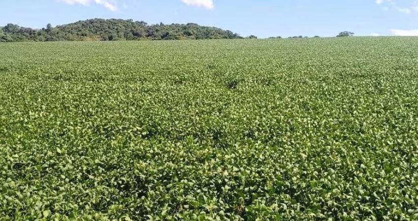 Fazenda à venda, tomazina, Tomazina, PR