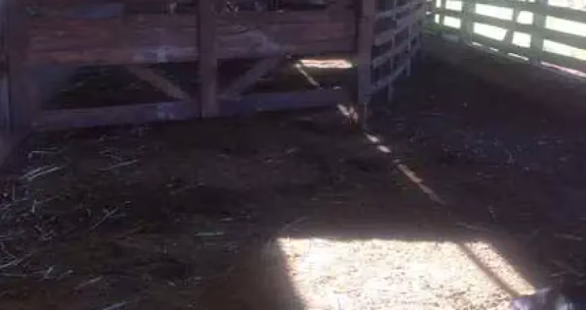 Chácara / sítio com 3 quartos à venda na Água Coro do Boi, Sertanópolis 