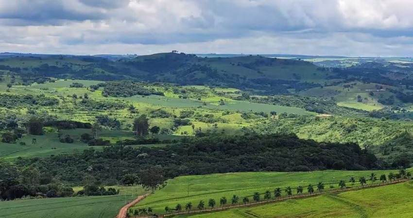 Sítio à venda – 411.000m² – gleba rio bom – novo itacolomi – pr