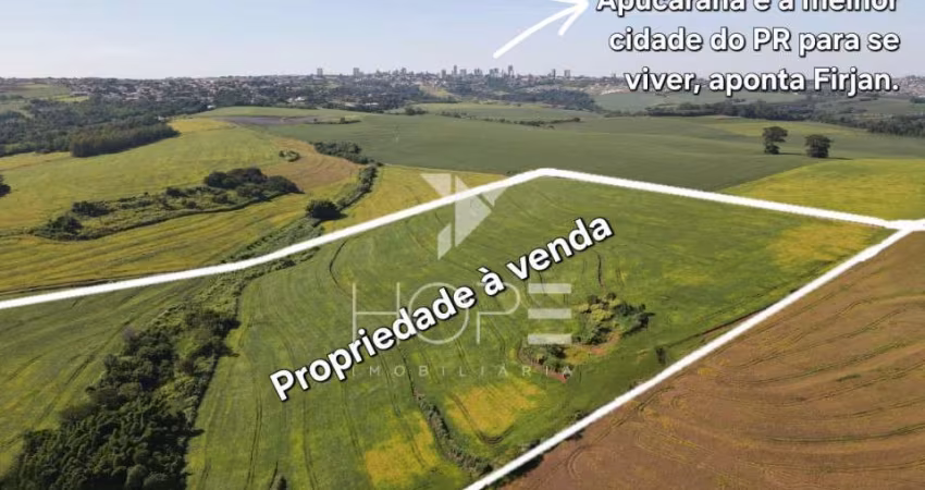 Sítio à Venda  77,44 Hectares de Oportunidade na Estância Pinheiro Alto em Apucarana