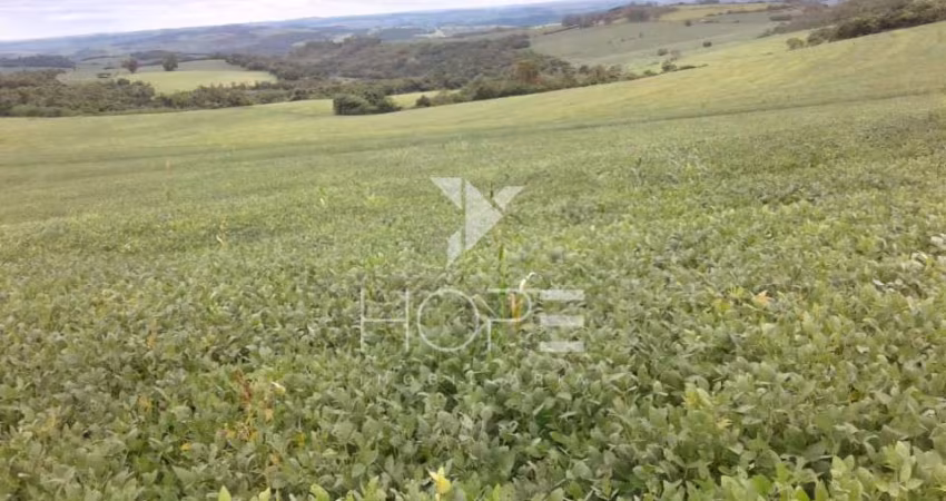 Fazenda de 76 Alqueires  Alto Padrão à Beira do Asfalto em Assis