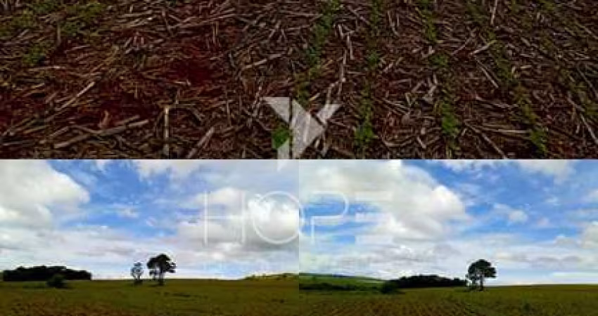 fazenda em primeiro de maio